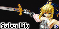 FG4862 - Saber Lily - Совершенство в доспехах1