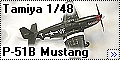 Tamiya 1/48 P-51B Mustang - а был ли котик?