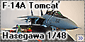 Hasegawa 1/48 F-14A Tomcat VF-84 Desert Storm Homecoming