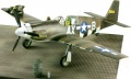 Accurate Miniatures 1/48 F-6A (P-51A) Mustang -   
