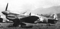 Hasegawa 1/48 Curtiss P-40E Warhawk