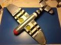 Hasegawa 1/32 P-47D Thunderbolt